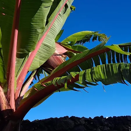 Casa Azul بيت للعطل *