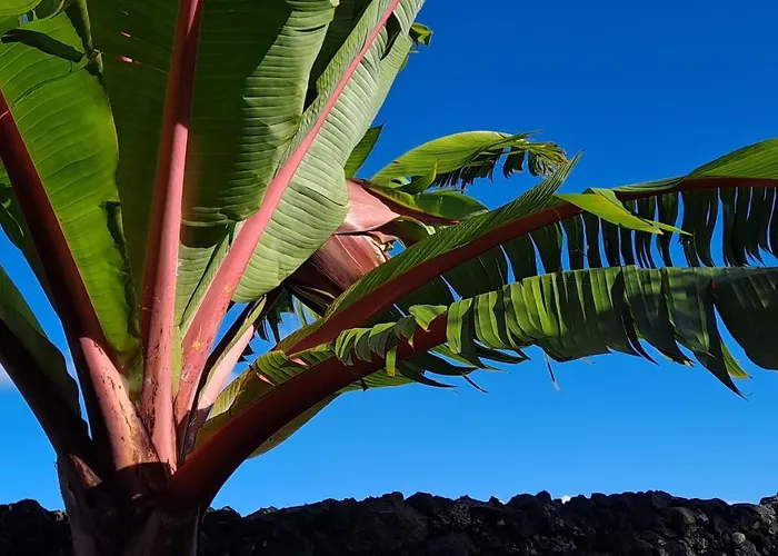 Casa Azul Nyaraló *